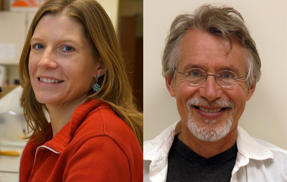 Professors VanDerwarker and Gaulin in Teaching and Learning Excellence Series (TALES) Podcasts article image-2017-03-20